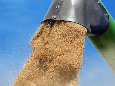 Минсельхоз допустил, что план по экспорту зерна придется сократить