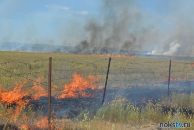 В Оренбургской области начались степные пожары