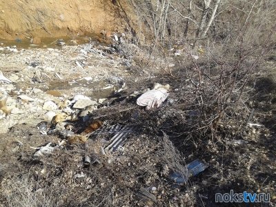 В Новотроицке планируют ликвидировать мусорную свалку