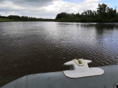 В Илекском районе местные жители нашли в реке труп