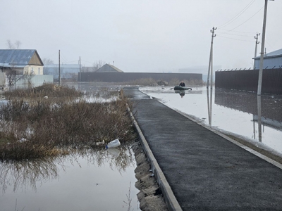 На утро 11 апреля в Оренбуржье затоплены 11 972 жилых дома, 14991 приусадебный участок