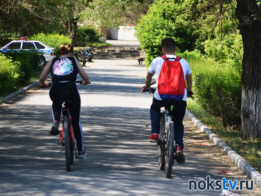 Дети на дороге: юные велосипедисты стали чаще попадать в аварии