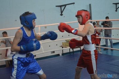 В Новотроицке проходит открытый городской турнир по боксу