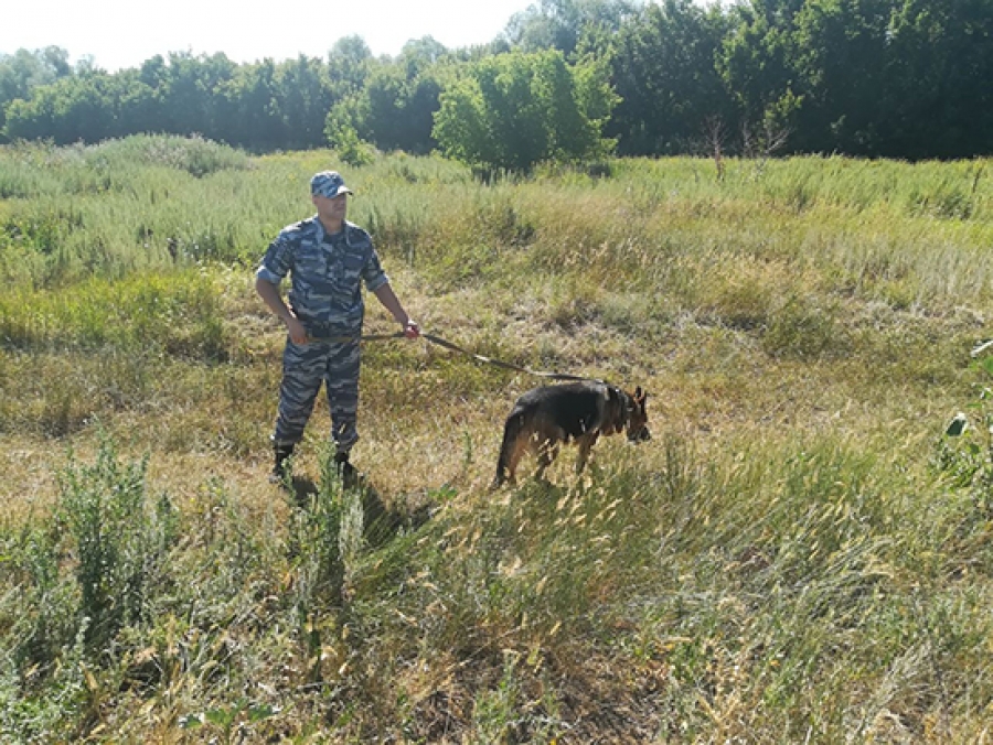 К поиску 6-летнего Ярослава присоединились полицейские из отдаленных районов