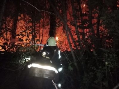 В Оренбурге произошло крупное возгорание лесного массива