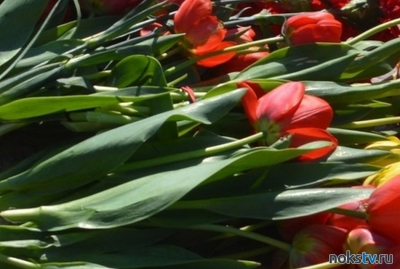 В Госдуме предложили ввести регулирование цен на цветы
