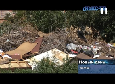 Проблемы с несвоевременным вывозом мусора никак не отпускают Новотроицк