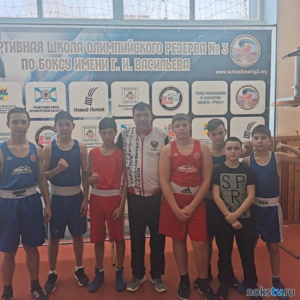 Новотроицкие боксеры завоевали медали первенства области
