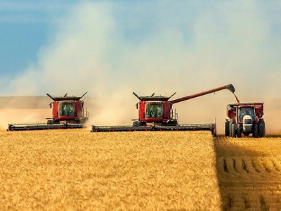 Кремль подтвердил продление зерновой сделки на два месяца