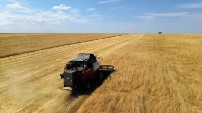 В Оренбуржье собрано 2 миллиона тонн зерна