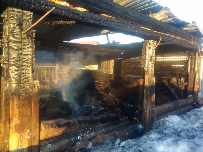 В Бузулукском районе сгорели 40 свиней (Фото)