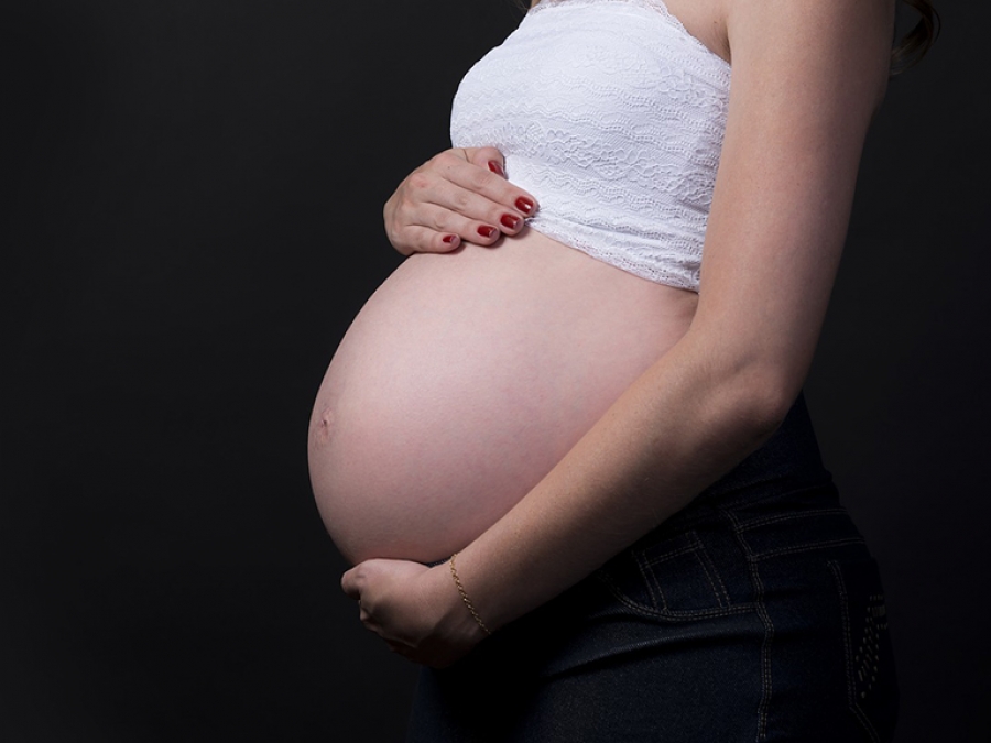 В Госдуме разработали законопроект о запрете суррогатного материнства для иностранцев