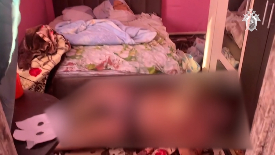 Были против отношений: 14-летняя девочка подговорила любимого убить мать, сестру-инвалида и отчима (Видео 18+)