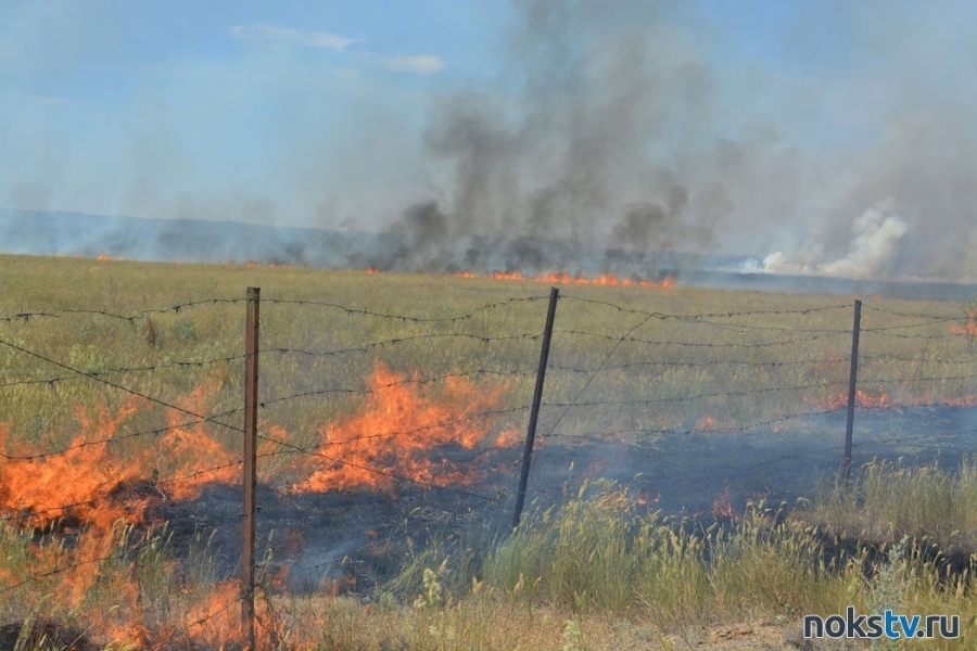На территории 5 муниципалитетов Оренбуржья прогнозируется пятый класс пожарной опасности