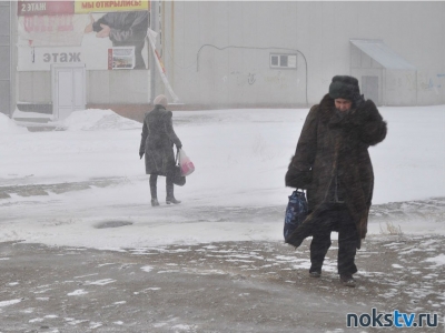 Синоптики прогнозируют снег и сильный ветер в Оренбуржье