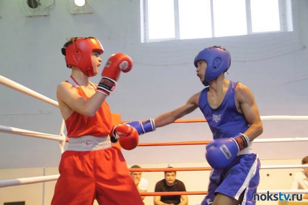 Новотроицкие боксеры отличились в первенстве Оренбургской области в Орске