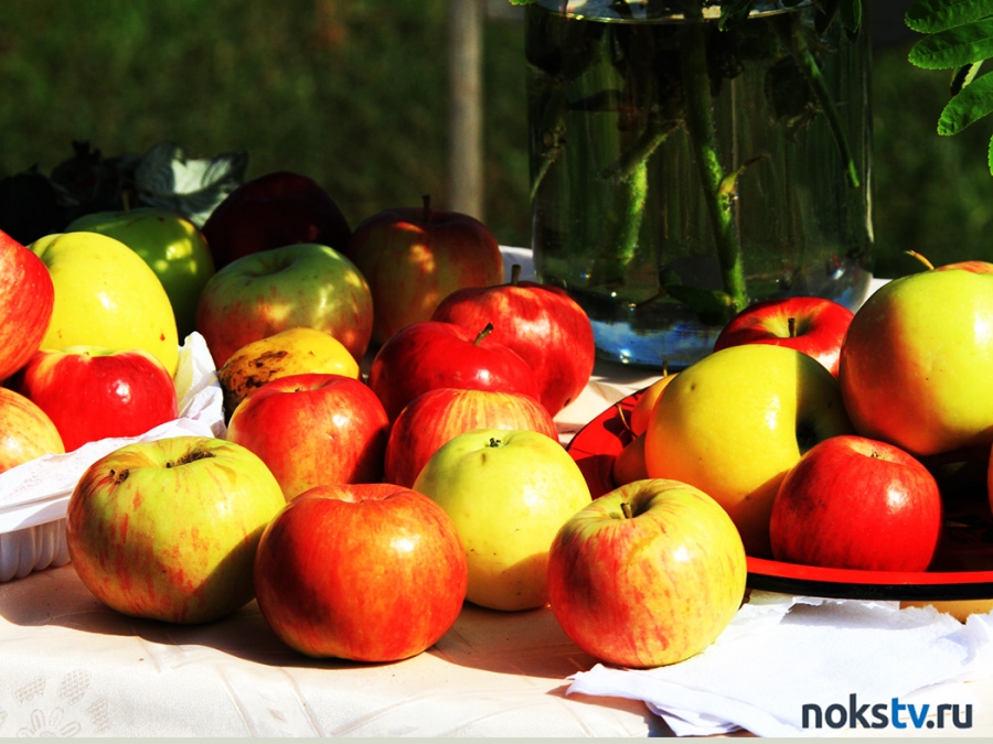 Роскачество предупредило о токсинах в фруктах и овощах