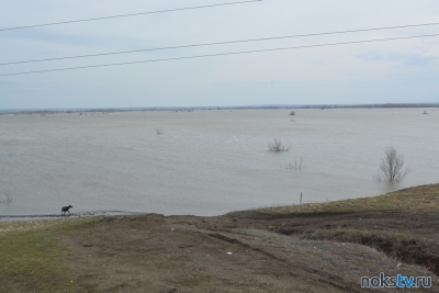 Спад паводка наблюдается в 6 муниципалитетах и 14 населенных пунктах Оренбуржья