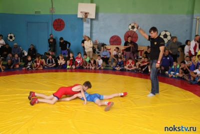 В Новотроицке прошли соревнования для самых молодых борцов