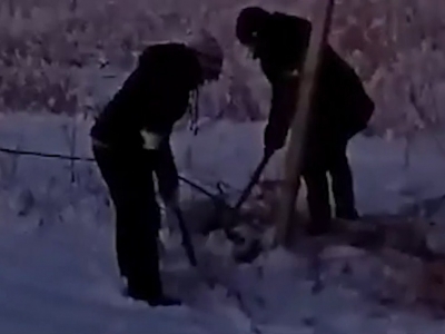 Под Самарой рабочих отправили полоть траву в –25° ради борьбы с полевыми мышами (Видео)