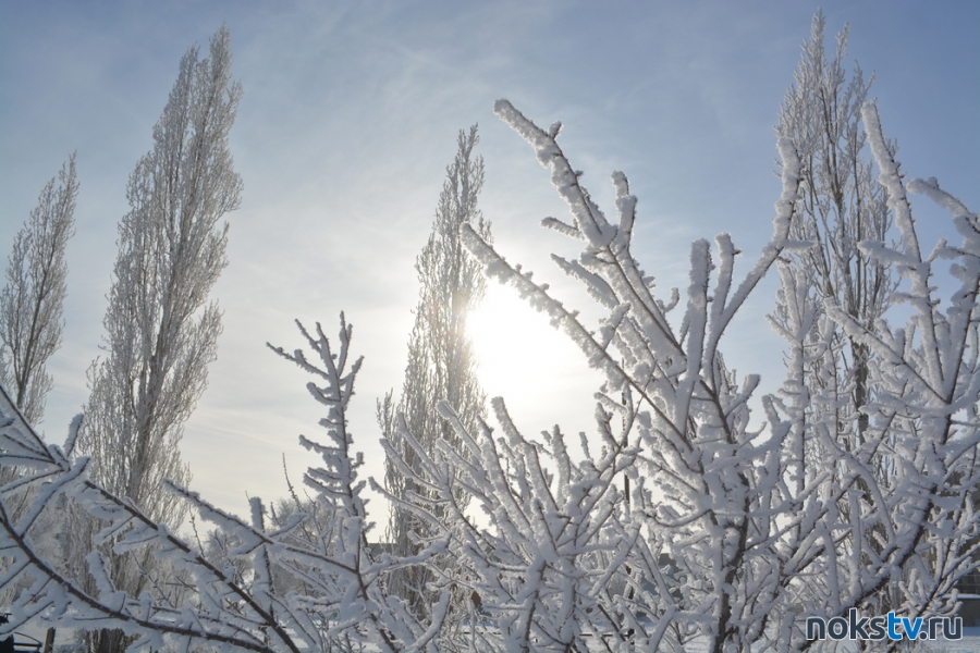 Суровые морозы ударят в Оренбуржье