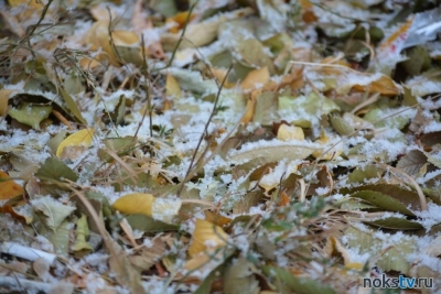 В Оренбуржье ударят заморозки