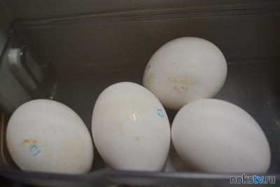 Глава ЦБ назвала причину роста цен на яйца