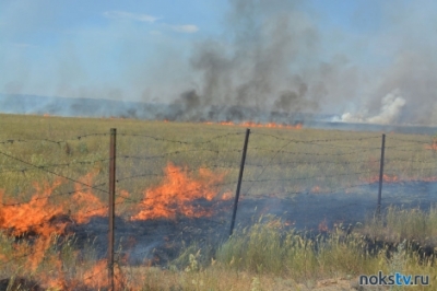 Новотройчан предупреждают о высокой пожарной опасности