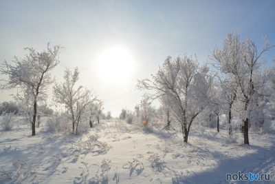 Зима продолжит покрывать Оренбургскую область снегом
