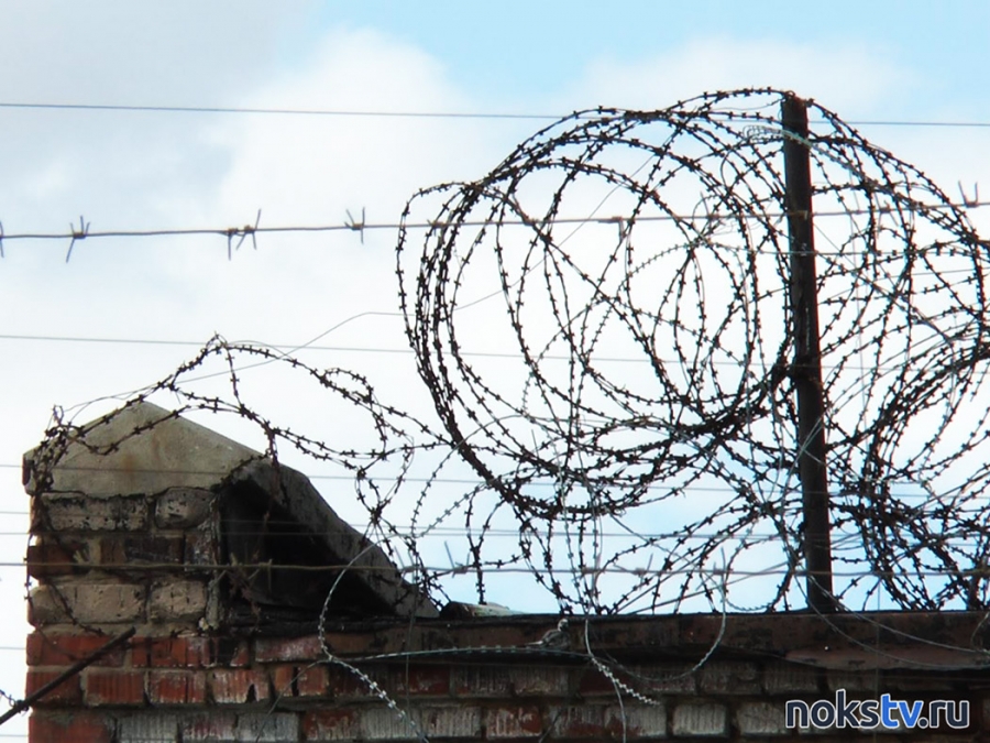 Правозащитники опубликовали новые данные о пытках в российских колониях