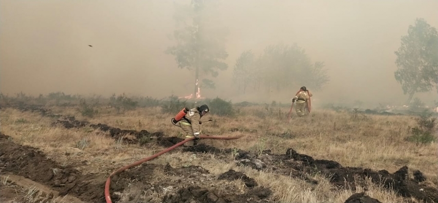 В Челябинской области горят леса (Видео)