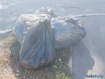 ООО «Природу» привлекли к ответственности за не вывоз мусора