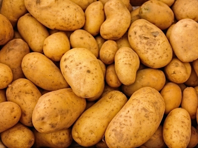 В России предложили продавать картошку «экономкласса»