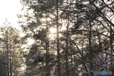 Морозы и метели в Оренбургской области