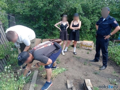 На садовода в Новотроицке завели уголовное дело за плантацию мака и конопли