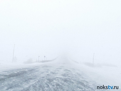 На трассе М5 «Урал» из-за снегопада произошел транспортный коллапс