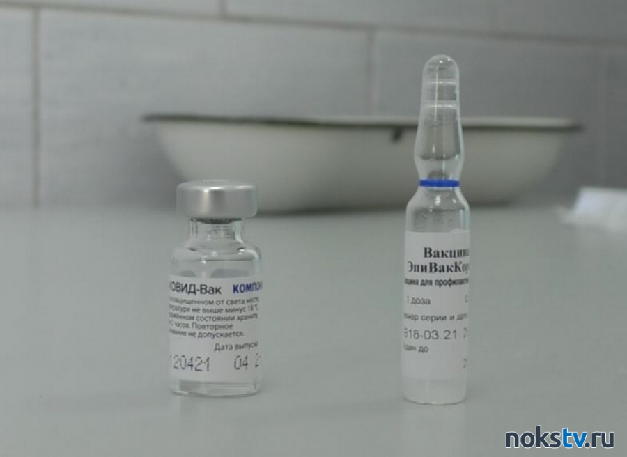 Гинцбург выступил за обязательную вакцинацию от коронавируса в России