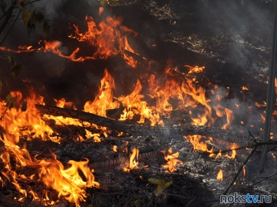 С 1 января россиянам запретят сжигать мусор и разводить костры на территории частных домов