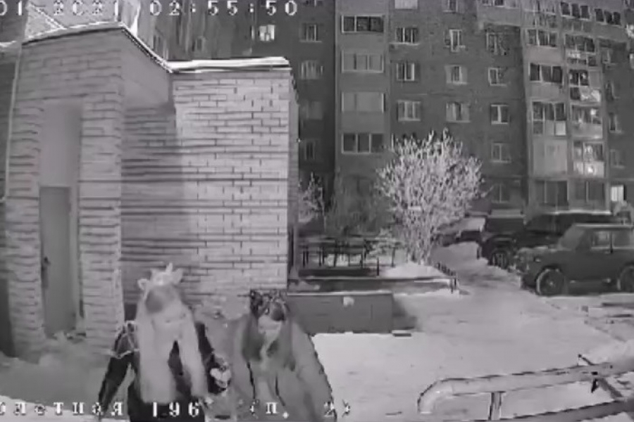 В Оренбурге две девушки украли новогоднюю елку со двора (Видео)